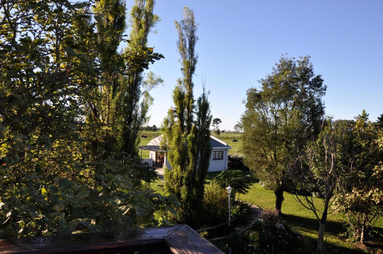Tsitsikamma Gardens Self-Catering Cottages - Cottage #2 Sanddrif Eksteriør bilde